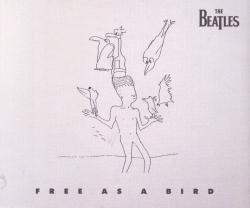 Album Sleeve