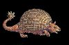 Glyptodont.jpg