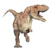 Gorgosaurus.jpg