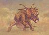 Styracosaurus.jpg