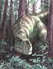 Tyrannosaurus_Rex_in_Forest.jpg