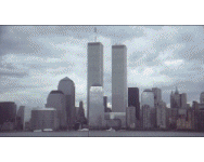 World
    Trade Center Destruction.