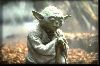 Yoda_1.jpg
