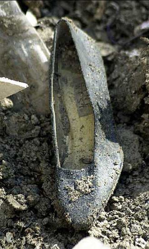 wtc_womans_shoe.jpg