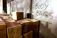 wtc_body_bags.jpg