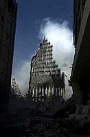wtc_skin7.jpg
