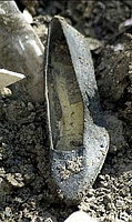 wtc_womans_shoe.jpg