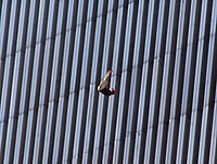 wtc_falling_06.jpg