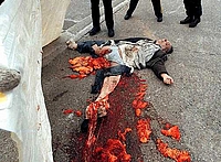 wtc_jumper_impact_02.jpg